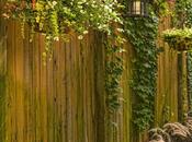Charming Wooden Fence Ideas Your Garden Privacy