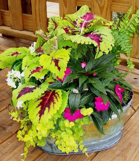 pinterest flower pot ideas