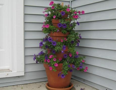 20 Cute Flower Pot Ideas To Make Your Garden Wonderful
