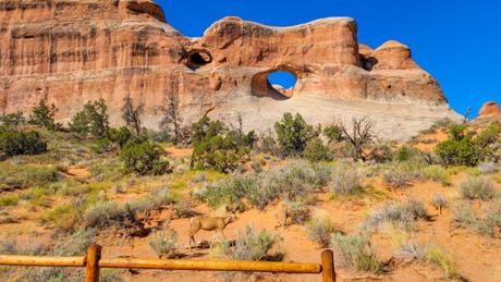 Double O Arch Trail at Arches National Park is a Must Hike