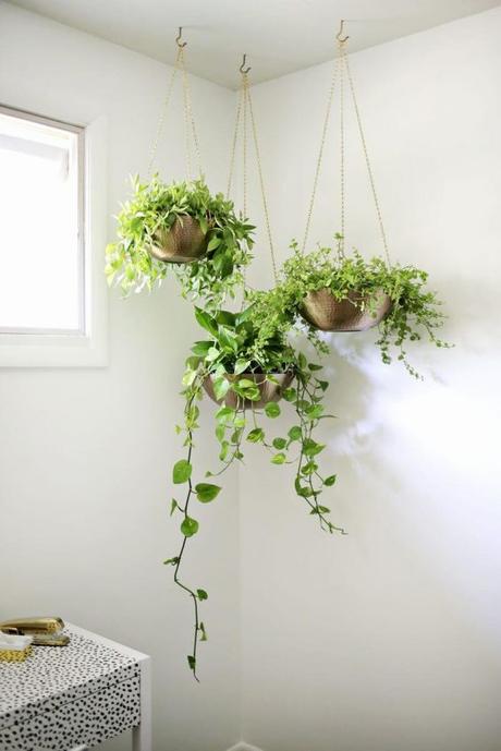 Easy Hanging Planter DIY