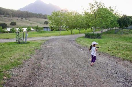 Farmstay fun at Lillydale - Gold Coast Part I