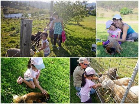 Farmstay fun at Lillydale - Gold Coast Part I