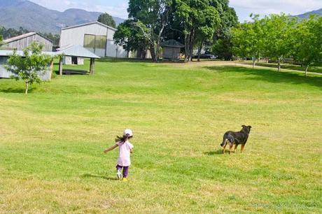 Farmstay fun at Lillydale - Gold Coast Part I