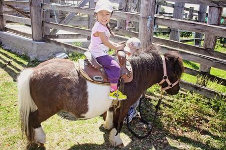 Farmstay fun at Lillydale - Gold Coast Part I