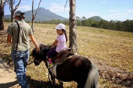 Farmstay fun at Lillydale - Gold Coast Part I