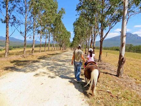 Farmstay fun at Lillydale - Gold Coast Part I