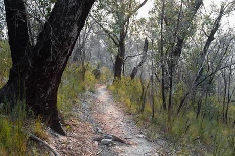 downhill track with smoke in air currawong falls track