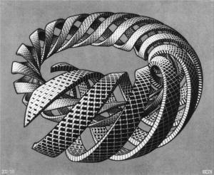 Spirals by MC Escher (1953)