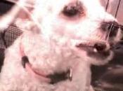 Preventing Suffocation