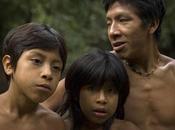 Loggers Face Removal from Land Earth’s Most Threatened Tribe