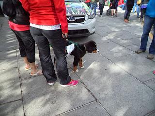 It Takes a Team - Banff Ekiden Relay Support