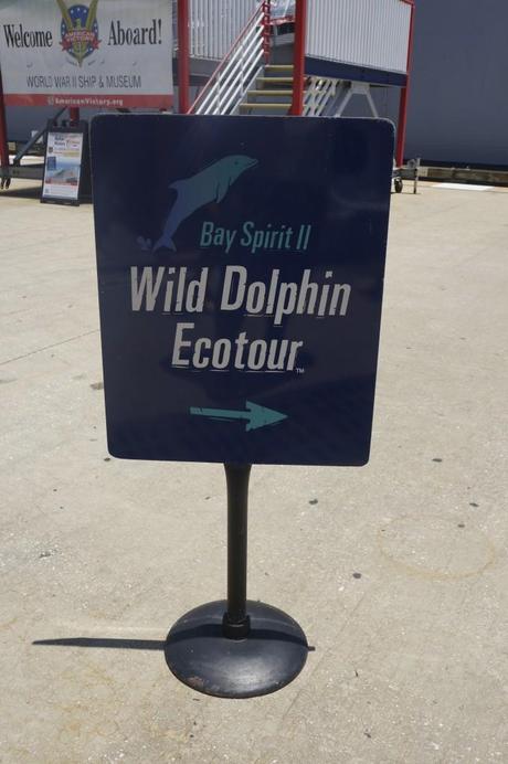 Dolphin Tour this way 