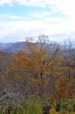 Tail End of Autumn Color