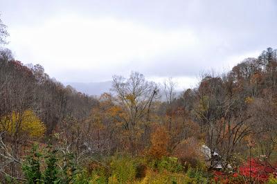 Tail End of Autumn Color