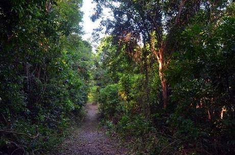 loop hike on Rebak