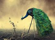 Dramatic Photo Manipulations Caras Ionut