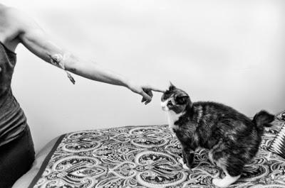 A Struggle with Cancer through the Lens of Angelo Merendino