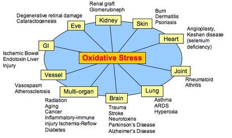 oxidative_stress_oval