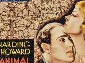 Animal Kingdom (1932)