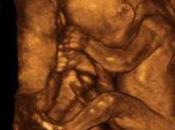 "Something Pretty Scary Happening"