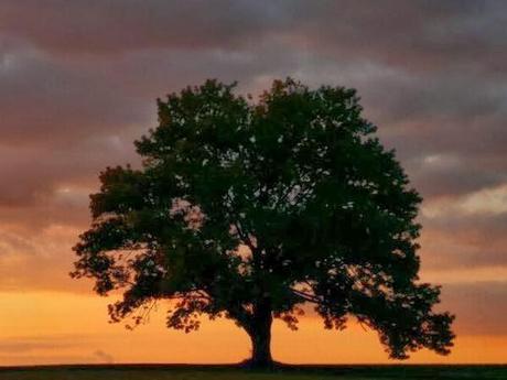 Mosaic of a Forgotten Time