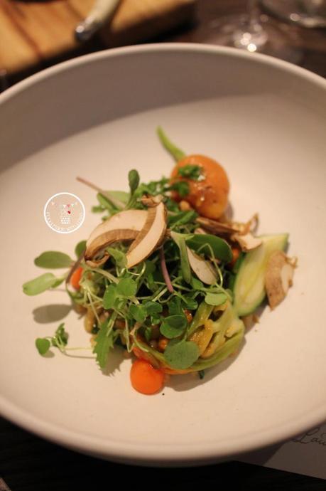 Sunflower shoots