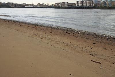 Forage on the Foreshore