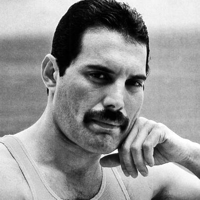 Freddie Mercury Moustache