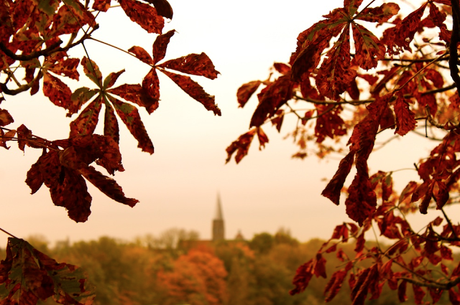 In and Around London... London Autumn