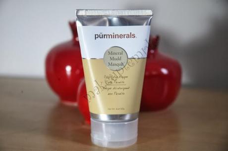 Pur Minerals Mud Mask Reviews