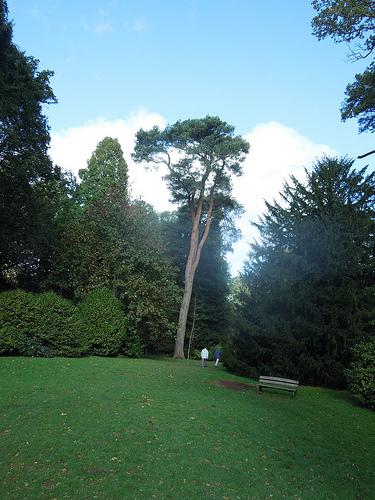 Westonbirt 2013