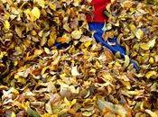 Make Mundane Your Playground Live More Passionate Life