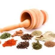 Homeopathic Remedies for Your Allergies Treatments