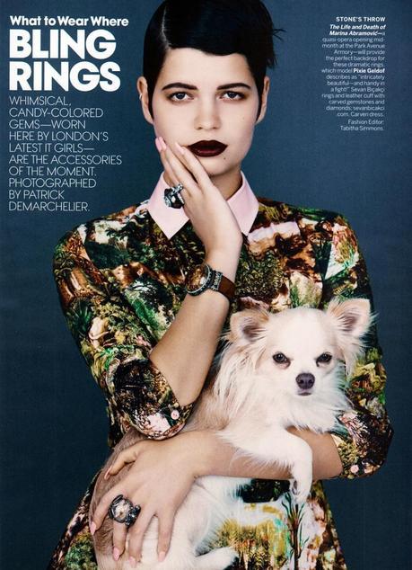 Vogue US December 2013 : Bling Rings Vogue US December 2013 : Bling Rings