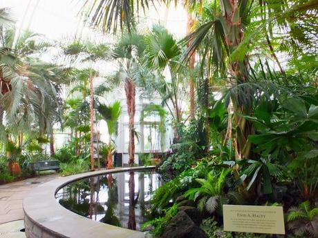 NYBG Conservatory - Rainforest and Aquatic Plants