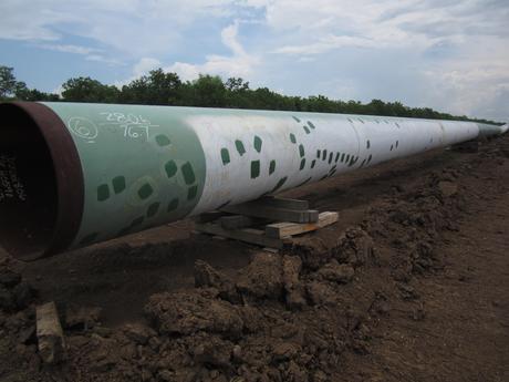 Multiple coating patches over new pipe about to be placed into the trench during initial construction.