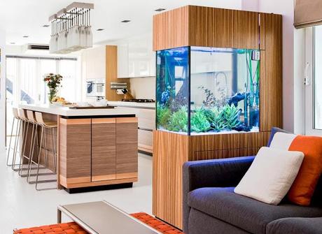 Aquariums at Home