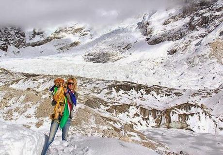 DOG Rescued from Dump Becomes 1st Canine to Climb Mt. Everest!