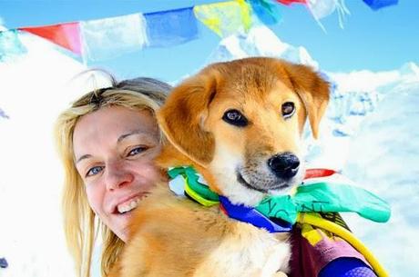 DOG Rescued from Dump Becomes 1st Canine to Climb Mt. Everest!