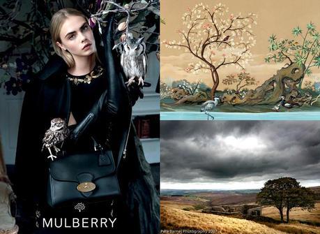 Mulberry fall 2013