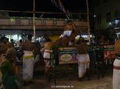 Kids Reaction Childish Childlike