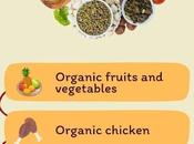 Organic Foods Popular Singapore