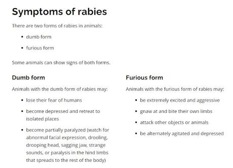 Ontario government symptoms of rabies
