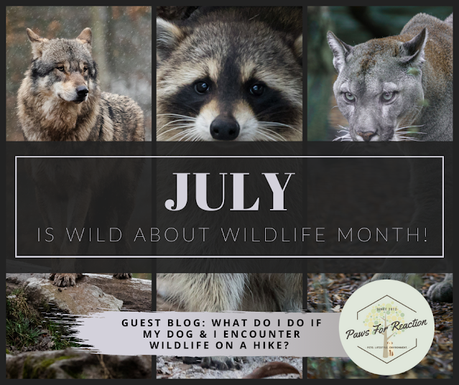 Wild About Wildlife Month: Encountering dangerous wildlife on a hike