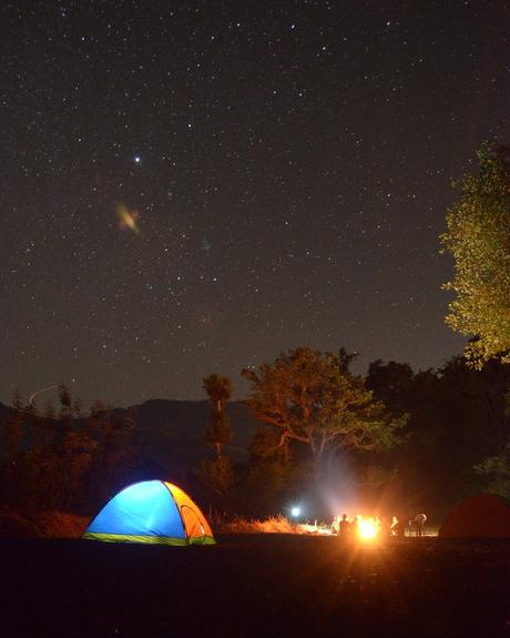 Top Camping Tips for Your Next Trip