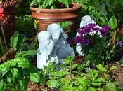 Save Water Your Vegetable Garden