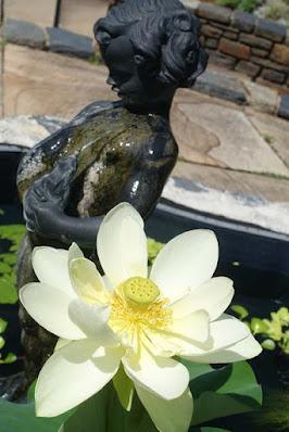 SARAH P. DUKE GARDENS, Durham, NC: The Tranquility of Nature on a Summer's Day