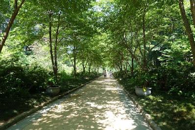 SARAH P. DUKE GARDENS, Durham, NC: The Tranquility of Nature on a Summer's Day