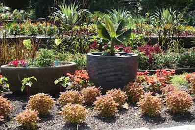 SARAH P. DUKE GARDENS, Durham, NC: The Tranquility of Nature on a Summer's Day